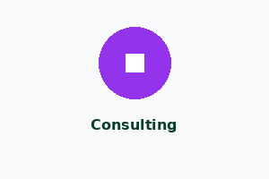 Consulting